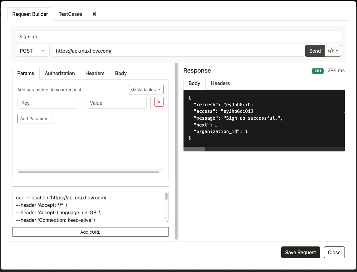 API Request Builder Interface
